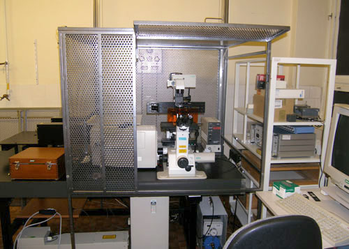 Bio-Rad confocal microscope