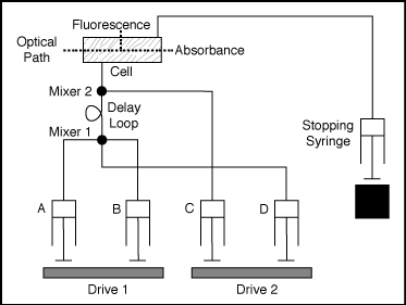 Diagram of Double Mixing Stopped-Flow<br>Picture source:http://www.hi-techsci.co.uk/scientific/frames/frstoppedflow.html